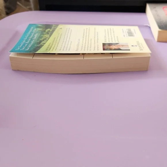 Beverly Lewis The Forbidden - Picture 6 of 7